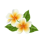 Minamiurawa Thai Massage_LOGO